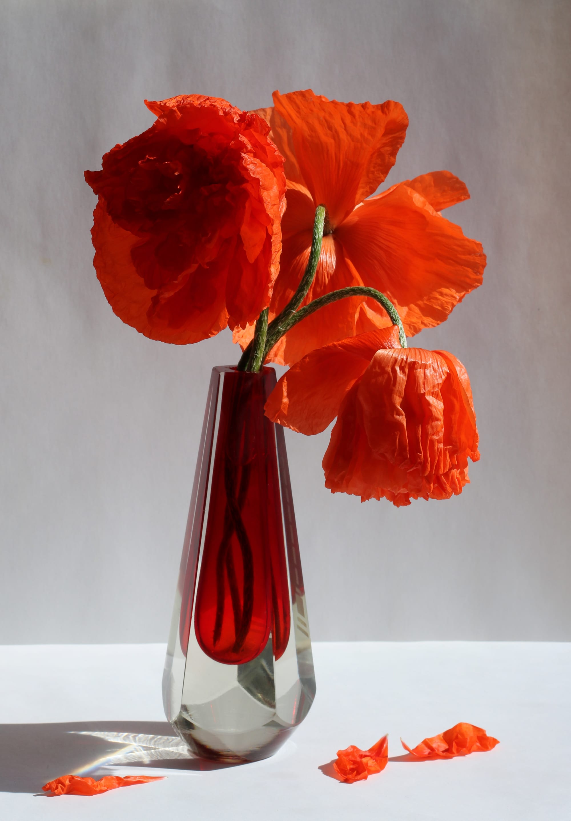 Treat People as Flowers