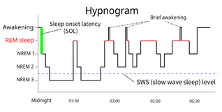 Sleep is a continuum
