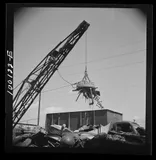 Curation and its side effects